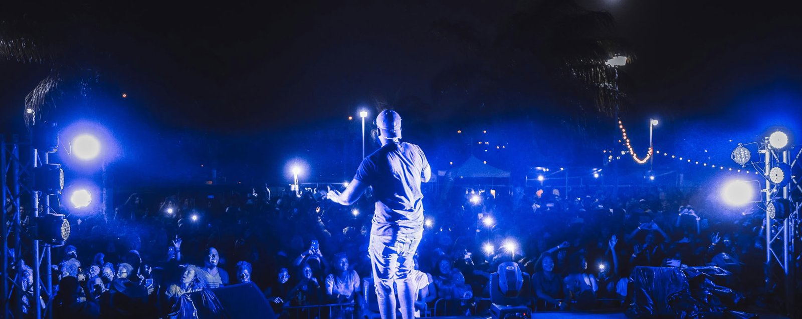 Vibrant live concert scene featuring a performer on stage under night lights with a cheering crowd.